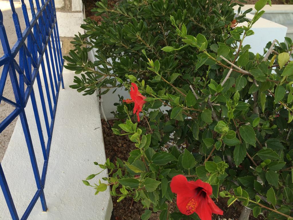 Sea Breeze Hotel Apartments&Residences Chios Monolia Exterior foto